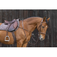 Enrênement élastique réglable