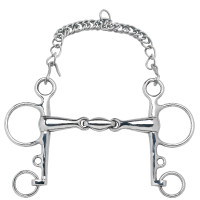 Mors Pelham Feeling Anatomic branches courtes