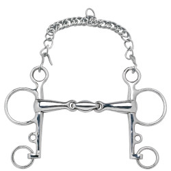 Mors Pelham Feeling Anatomic branches courtes