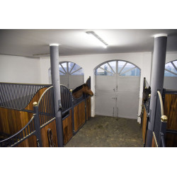 Caméra IPCam 360 FHD 1080p Kerbl Caméra IPCam 360 FHD 1080p Kerbl