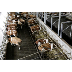 Caméra IPCam 360 FHD 1080p Kerbl Caméra IPCam 360 FHD 1080p Kerbl