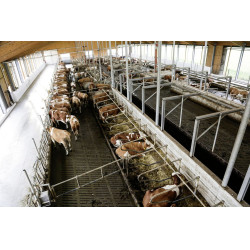 Caméra IPCam 360 FHD 1080p Kerbl Caméra IPCam 360 FHD 1080p Kerbl