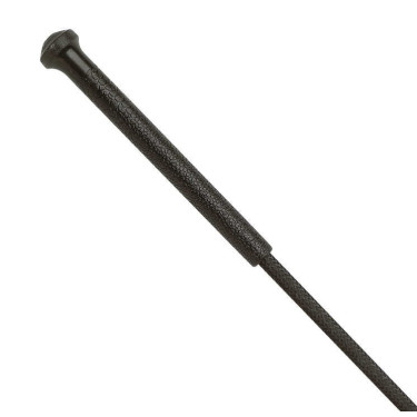 Fouet d'attelage et d'entraînement WHIP & GO