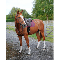 Tapis GEM Ten Raisin