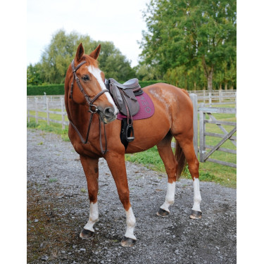 Tapis GEM Ten Raisin