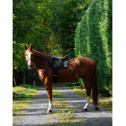 Tapis GEM Ten Vert sapin