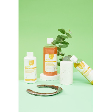 Or Relax Or Vet Or Relax Or Vet