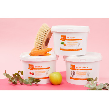 Friandises Or Carrot Or Vet