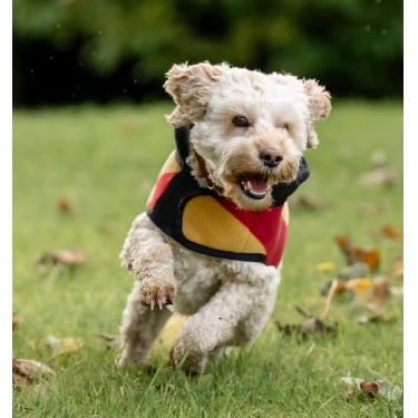 Couverture polaire Horseware Newmarket pour chien Or blanc