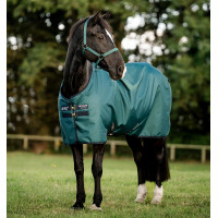 Couverture Horseware Amigo Ripstop 900D Poney Turnout 100g Vert dynastie / marine / argent