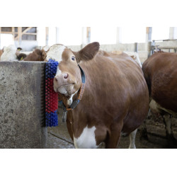 Brosse murale Kerbl Brosse murale Kerbl