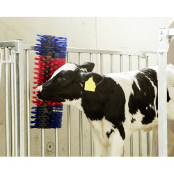 Brosse murale Kerbl Brosse murale Kerbl