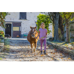 Pantalon Carly Enfants et junior Equithème Lilas Violet