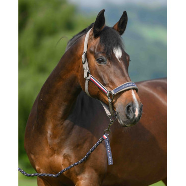 Licol et longe Tommy Hilfiger Equestrian Yale Ash Bleu marine