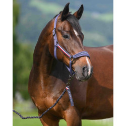 Licol et longe Tommy Hilfiger Equestrian Yale Indigo délavé Bleu Licol et longe Tommy Hilfiger Equestrian Yale Indigo délavé Bleu