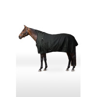 Couverture d'extérieur Helsinki Horze high neck 50 g Vert scarabé