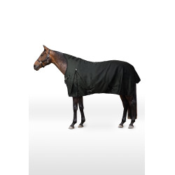 Couverture d'extérieur Helsinki Horze high neck 50 g Vert scarabé