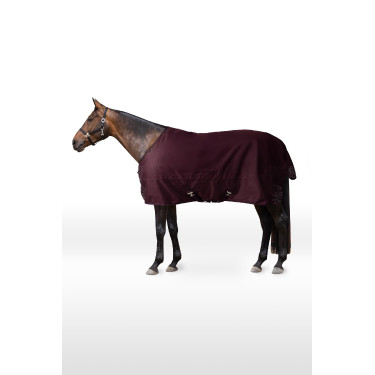 Couverture d'extérieur réfléchissante Horze Newbridge 200 g Figue Violet