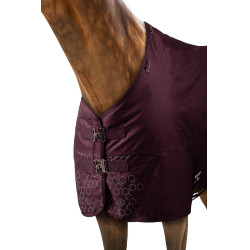 Couverture d'extérieur réfléchissante Horze Newbridge 200 g Figue Violet