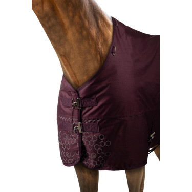 Couverture d'extérieur réfléchissante Horze Newbridge 200 g Figue Violet