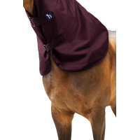 Couvre cou Horze Newbridge 0g Figue Violet