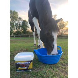 Aliment complémentaire NAF Liver Support