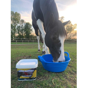 Aliment complémentaire NAF Liver Support