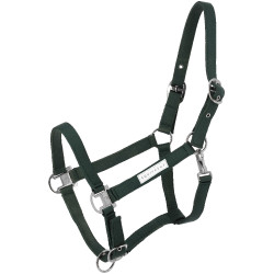 Licol Equithème Opal Kaki