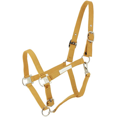 Licol Equithème Opal Jaune