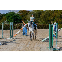 T-Shirt seamless manches courtes Equithème Elena femme Kaki