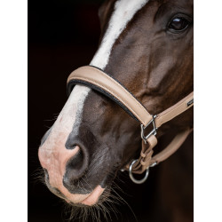 Licol en cuir Equestrian Stockholm anatomic scintillant Sable Beige