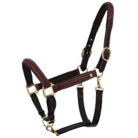 Licol grooming cuir huilé Norton Spring Havane Marron