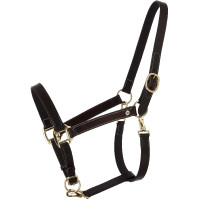 Licol grooming en cuir huilé Norton Derby Havane Marron