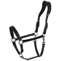 Licol Norton Anatomique Crystal Noir