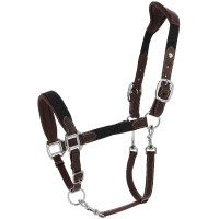 Licol Norton Dualy Havane / marine Marron