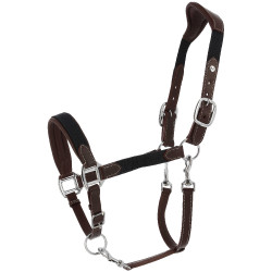 Licol Norton Dualy Havane / marine Marron