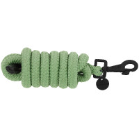Longe Equithème Pearl Vert