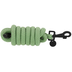 Longe Equithème Pearl Vert