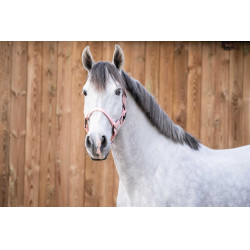 Licol LC Vibes Lami-Cell Ciel Bleu