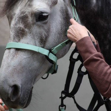 Licol LC Vibes Lami-Cell Olive Vert