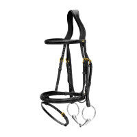 Bridon Muserolle Combinée Dy'on Noir