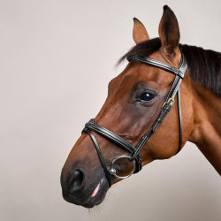 Bridon Muserolle Combinée Dy'on D Collection Noir Bridon Muserolle Combinée Dy'on D Collection Noir