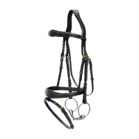 Bridon Muserolle Combinée Anatomique Dy'on Noir