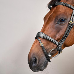 Bridon Muserolle Combinée Anatomique Dy'on D Collection Noir