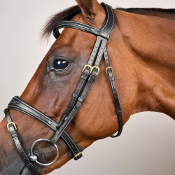 Bridon Muserolle Combinée Anatomique Dy'on D Collection Noir