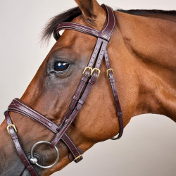 Bridon Muserolle Combinée Anatomique Dy'on D Collection Marron