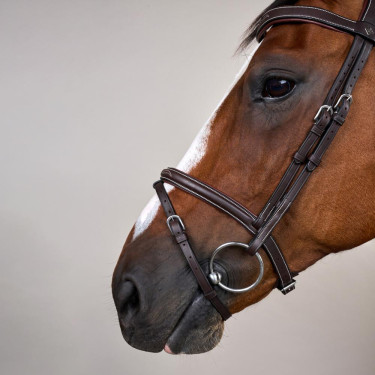 Bridon Muserolle Combinée Avec Mousqueton Dy'on Working Marron Bridon Muserolle Combinée Avec Mousqueton Dy'on Working Marron