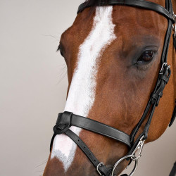 Bridon Cuir Plat Avec Mousquetons Working by Dy'on Noir