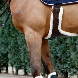 Sangle bavette mouton Kentucky Marron