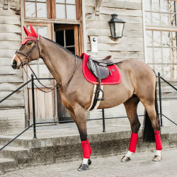 Tapis de selle Velvet jumping Kentucky Rouge